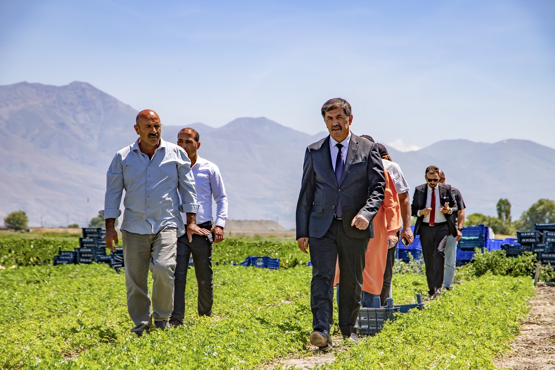 Başkan Bekir Aksun Tarlalarda çalışan işçileri ziyaret etti