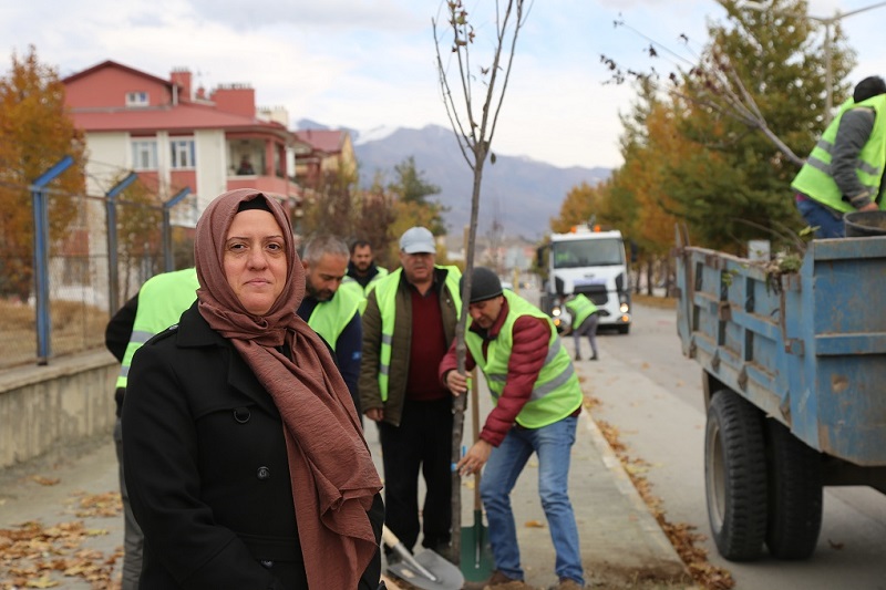 Erzincan Belediyesinden Ağaç Seferberliği