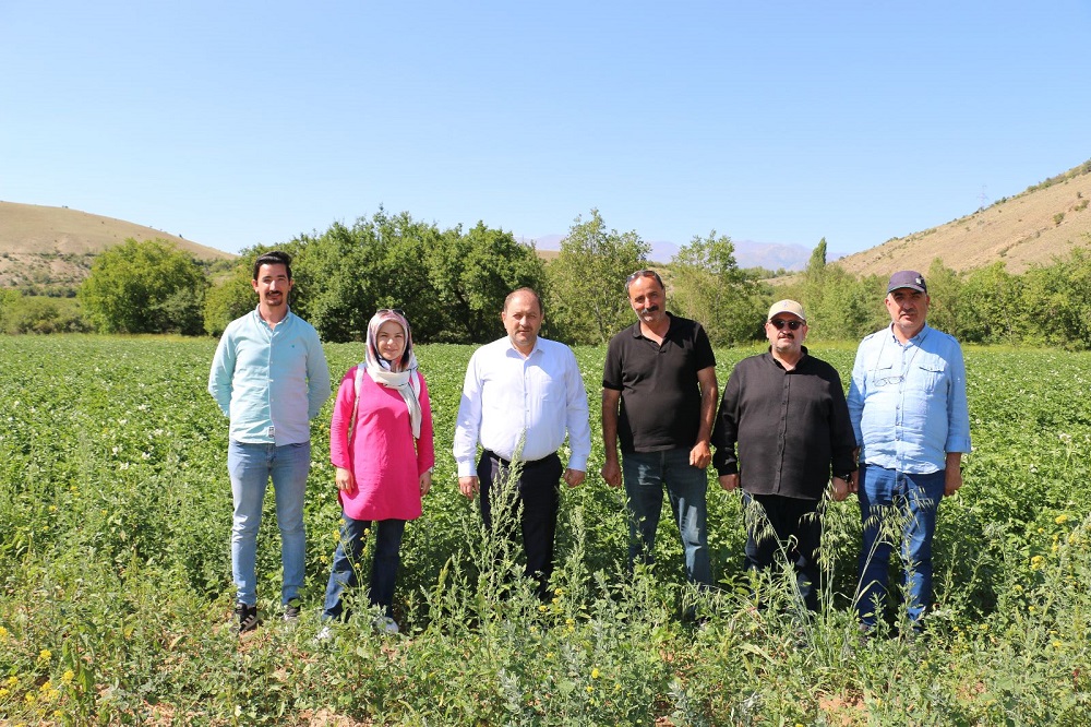 Erzincan’da Patates Projesi Başarıyla Uygulanıyor