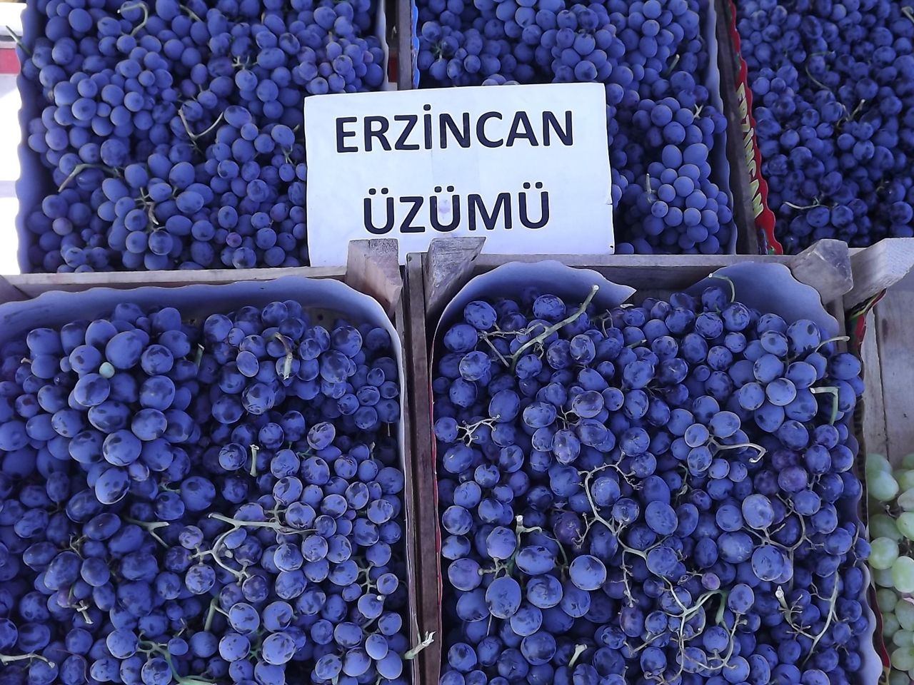 Cimin Üzümü tezgâhlardaki yerini aldı